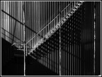 Linee, ombre e luci Linee, ombre e luci