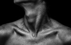 Bodyparts 01 Bodyparts 01