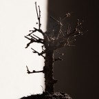La luce nasconde, l'oscurit� svela