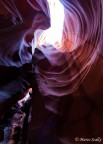 Antelope in verticale II