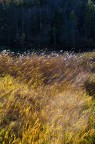 Via con il Vento d'Autunno