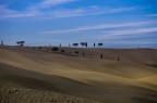 Terre senesi