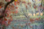 Autunno Autunno