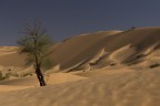 Sahara Sahara
