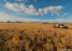 A truck stuck in a Wyoming field
