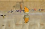 Riflesso Riflesso