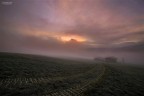 Alba e nebbia - in Alpe di Siusi Alba e nebbia - in Alpe di Siusi