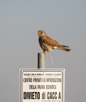Non ha rispettato la legge Non ha rispettato la legge