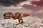 jurassic beach jurassic beach