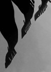 Figure misteriose Figure misteriose