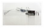 Nebbia mattutina Nebbia mattutina