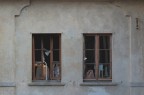 La finestra di fronte