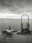 L'altro mare img.073 L'altro mare img.073