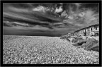 Mare metafisico