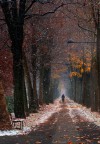 l'autunno si veste di bianco l'autunno si veste di bianco
