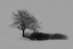 L'essenziale L'essenziale