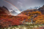 L'essenza dell'autunno L'essenza dell'autunno