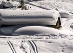 una bella nevicata una bella nevicata