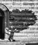 All'ombra di S. Chiara All'ombra di S. Chiara