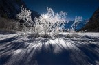 Polvere di stelle Polvere di stelle