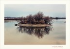 L'isola che non c'�...