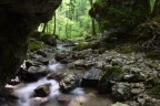 Ruscello roccioso Ruscello roccioso