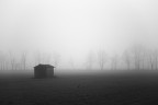 Foggy morning Foggy morning