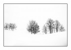 nel bianco nel bianco