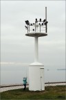 L'altro mare img.019