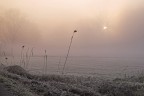 inchino al sole inchino al sole