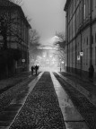 Alle prime luci del mattino Alle prime luci del mattino