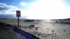 Sandy Sandy