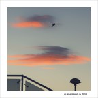 Ogni sera ha le sue ali...