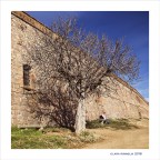 A little love... in Barcellona