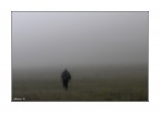 ...nella nebbia.. ...nella nebbia..