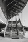 Auditorium_Roma_ArchiVerticale