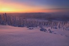 Arctic lights Arctic lights