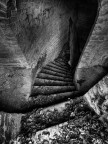 The Descent The Descent