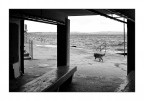 L'altro mare img.093 L'altro mare img.093