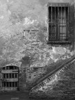 cervia1 cervia1
