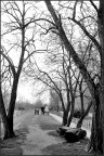 Monfalcone mare