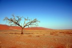 Contrasti desertici Contrasti desertici