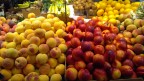 Farmers Market Farmers Market