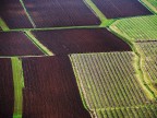 Campagne dall'alto