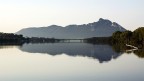 Circeo_Reflex Circeo_Reflex