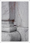 Saluti da Pisa Saluti da Pisa