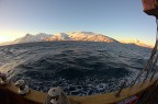 In mare In mare