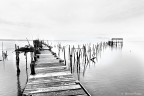 Palaffittico de Carrasqueira II
