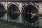 riflessi riflessi