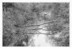 Bianco riflesso Bianco riflesso